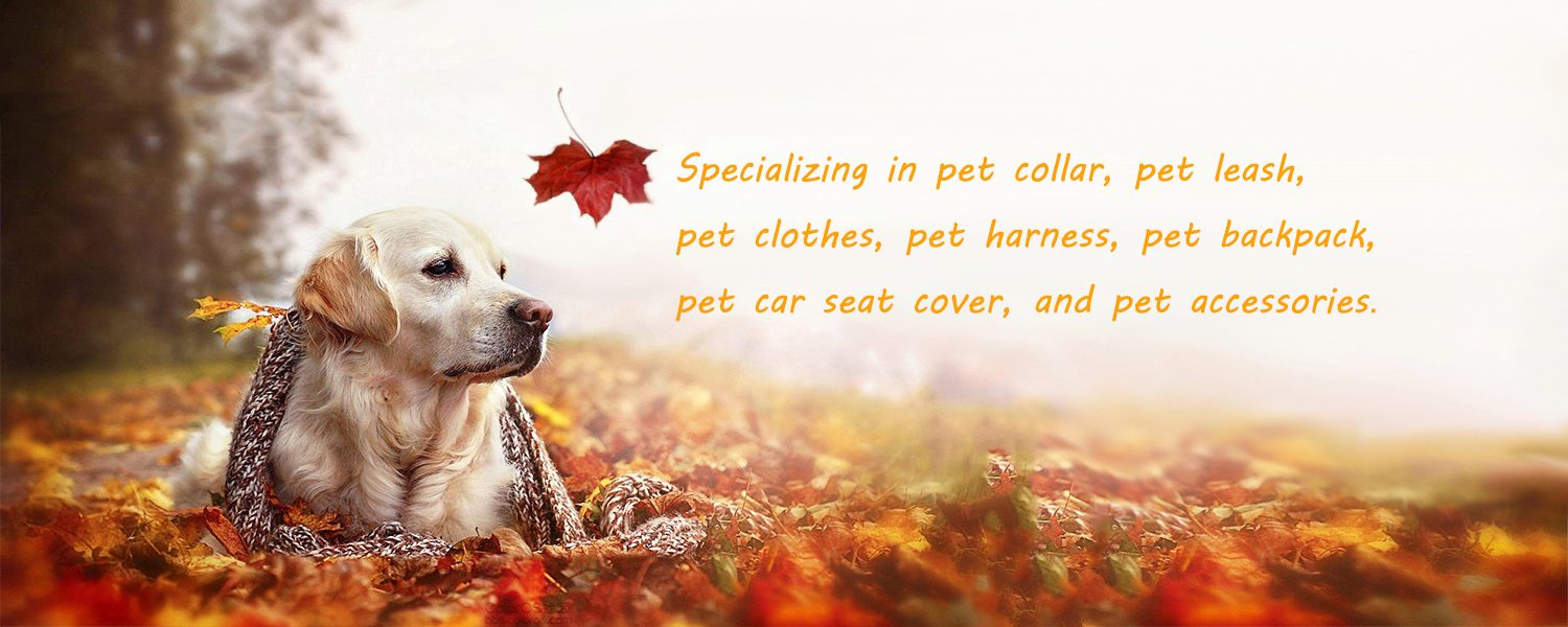 Homepage Sarah Pet Products