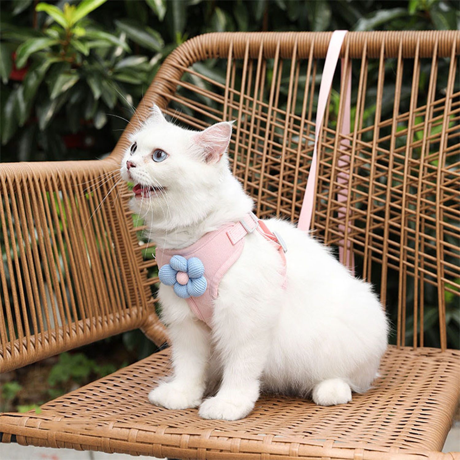 Pet Harness